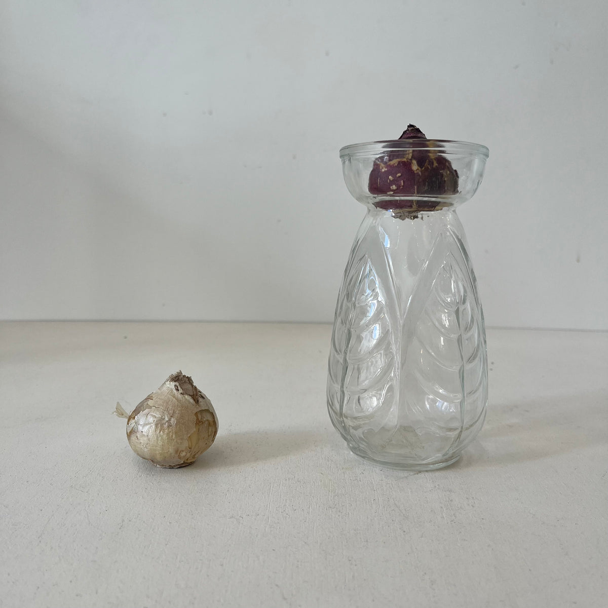 Vase à jacinthe ancien transparent