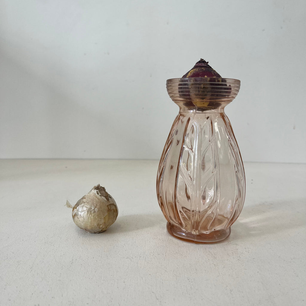Antique hyacinth vase (pink)