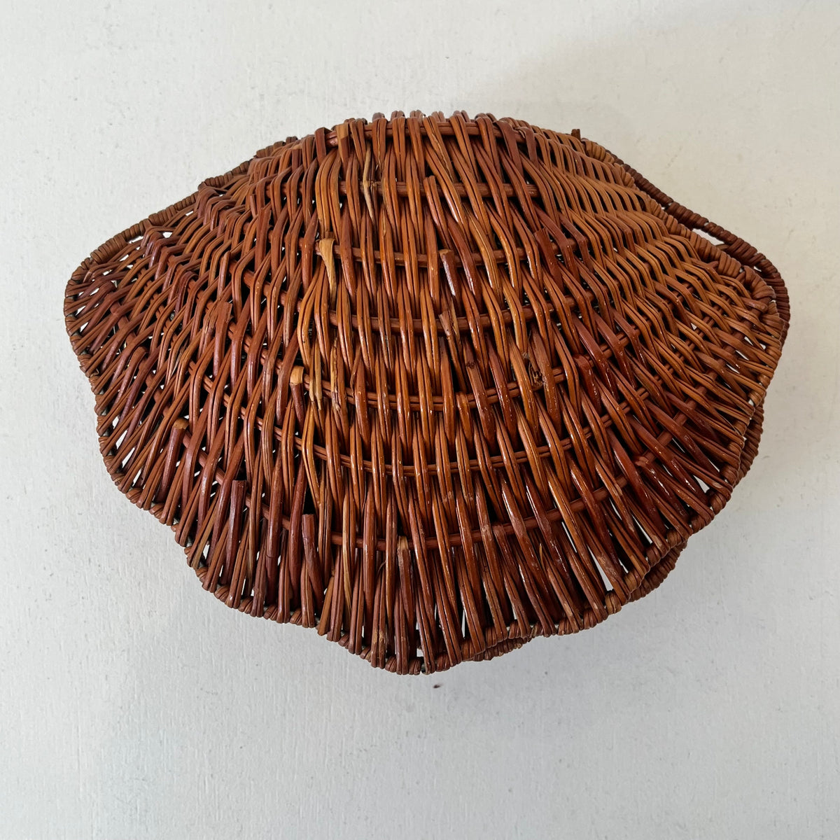 Boîte coquillage en osier tressé